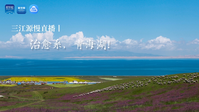 三江源慢直播丨治愈系，青海湖！
