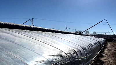 新鮮！青藏高原長出&ldquo;熱帶水果&rdquo;