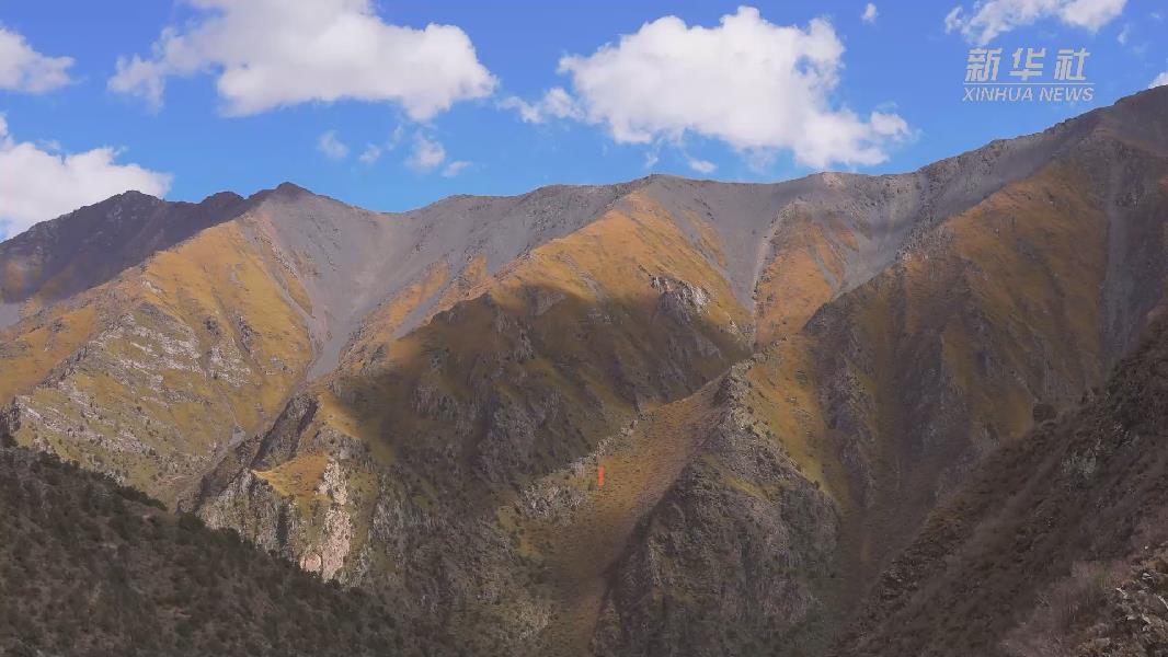 4362張照片！他們?cè)谶@里堅(jiān)持10年開展雪豹種群動(dòng)態(tài)研究